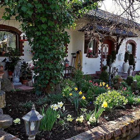 Haus Buena Vista Ξενοδοχείο Μπαντ Κίσινγκεν Εξωτερικό φωτογραφία