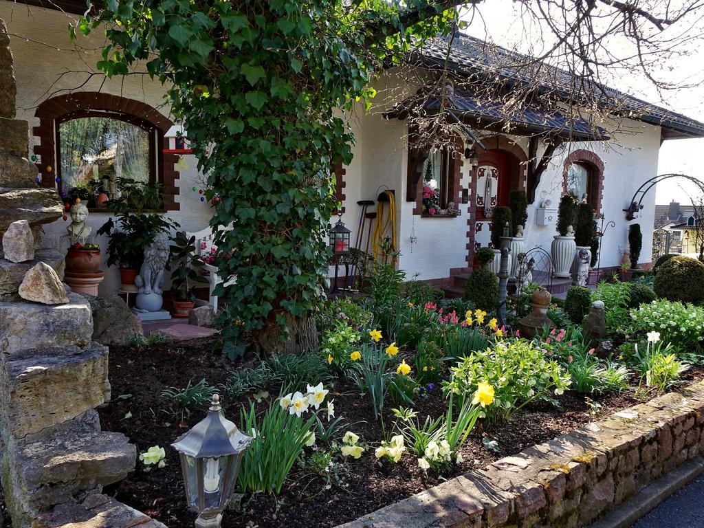 Haus Buena Vista Ξενοδοχείο Μπαντ Κίσινγκεν Εξωτερικό φωτογραφία